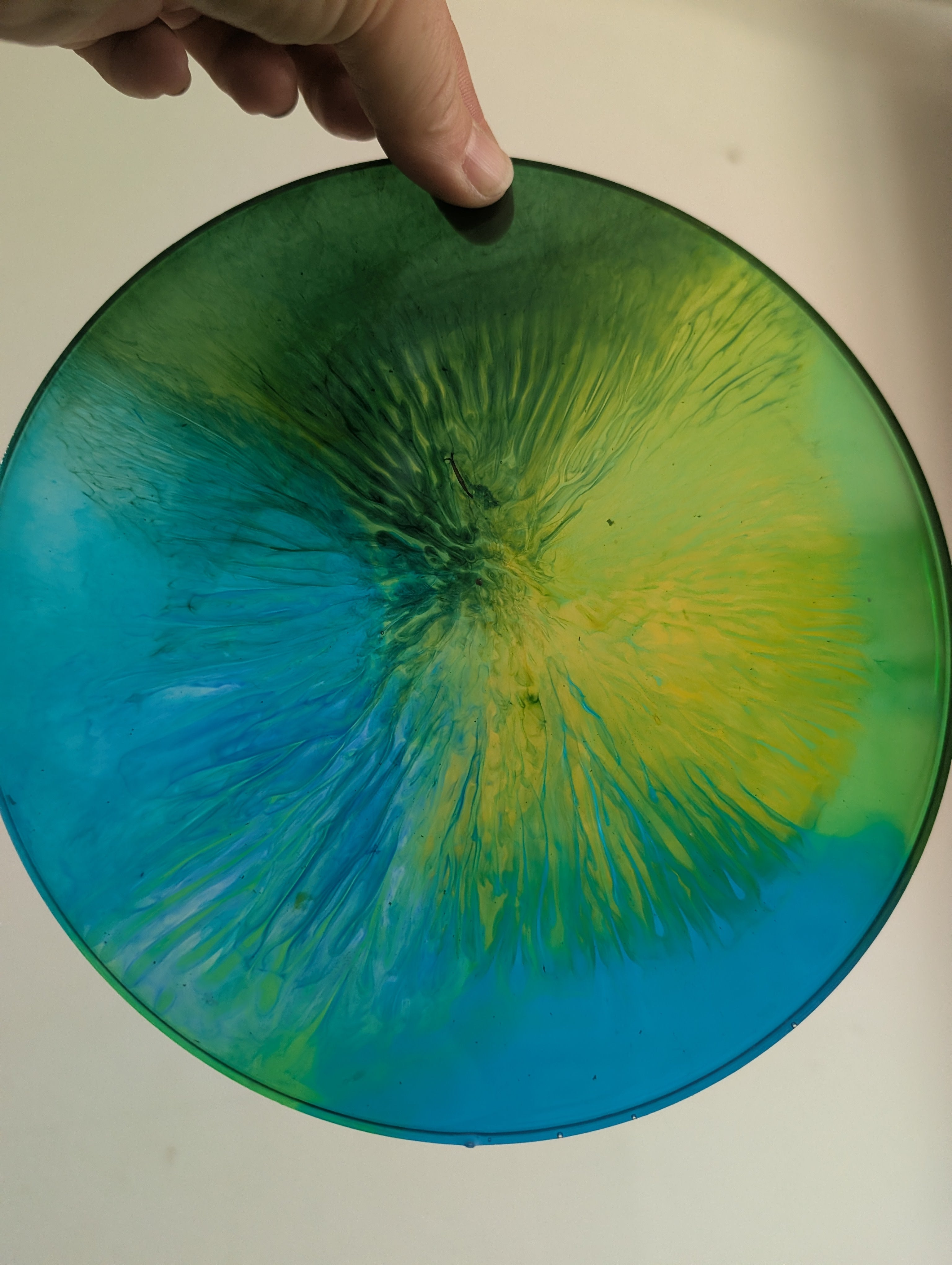 Regenbogenscheiben von 3,5 - 25,5 cm