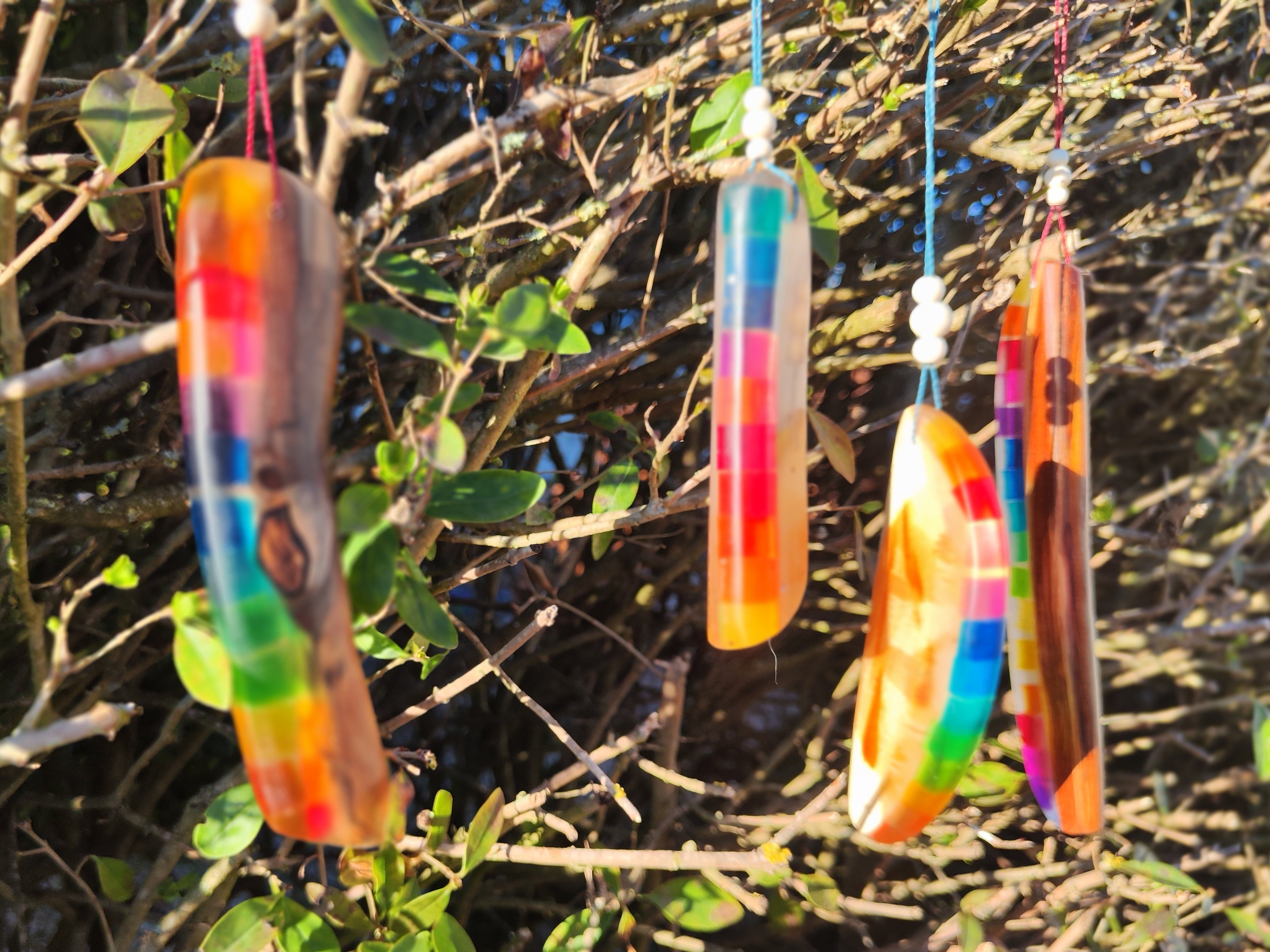 Regenbogenhölzer