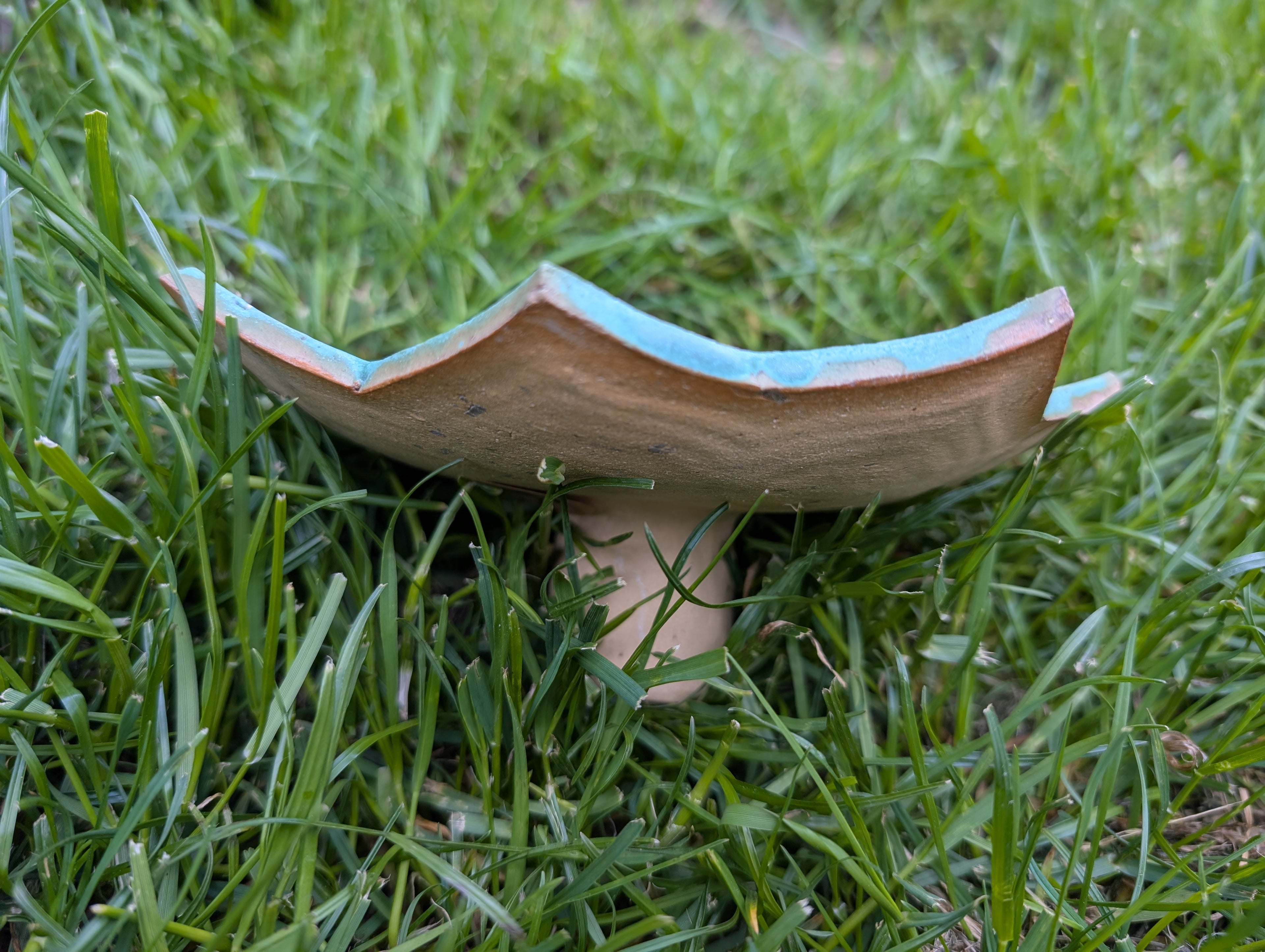 Insektentränke