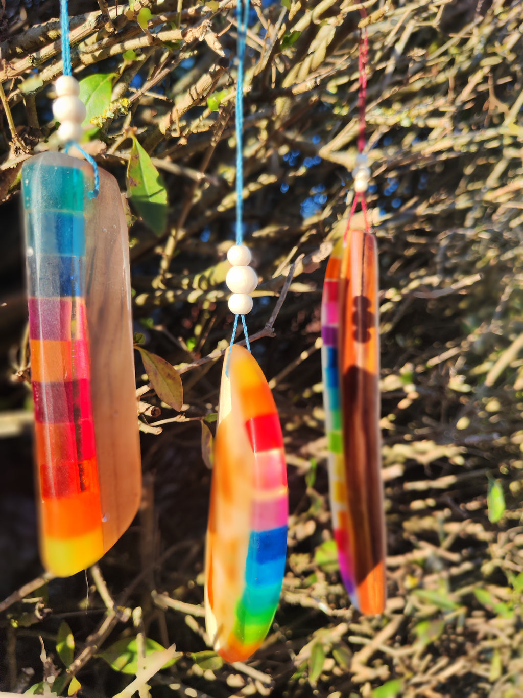 Regenbogenhölzer