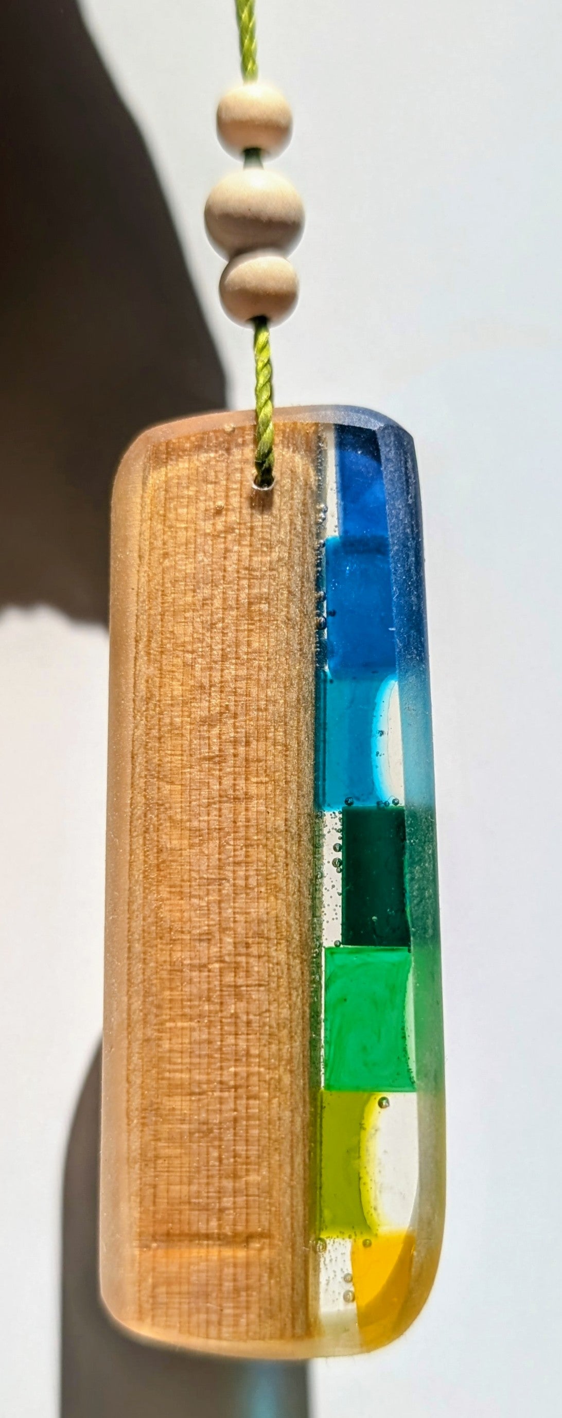 Regenbogenhölzer