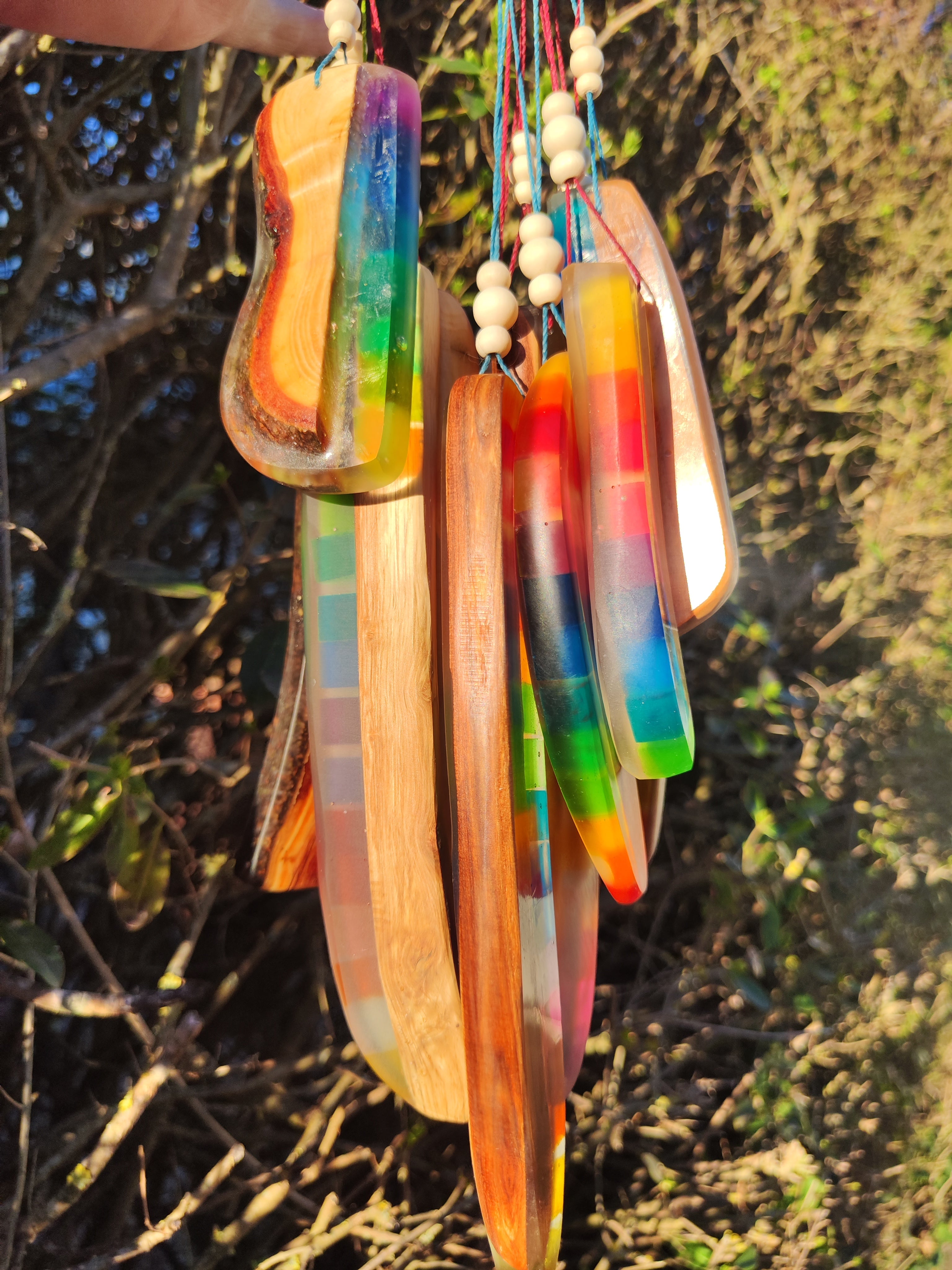 Regenbogenhölzer