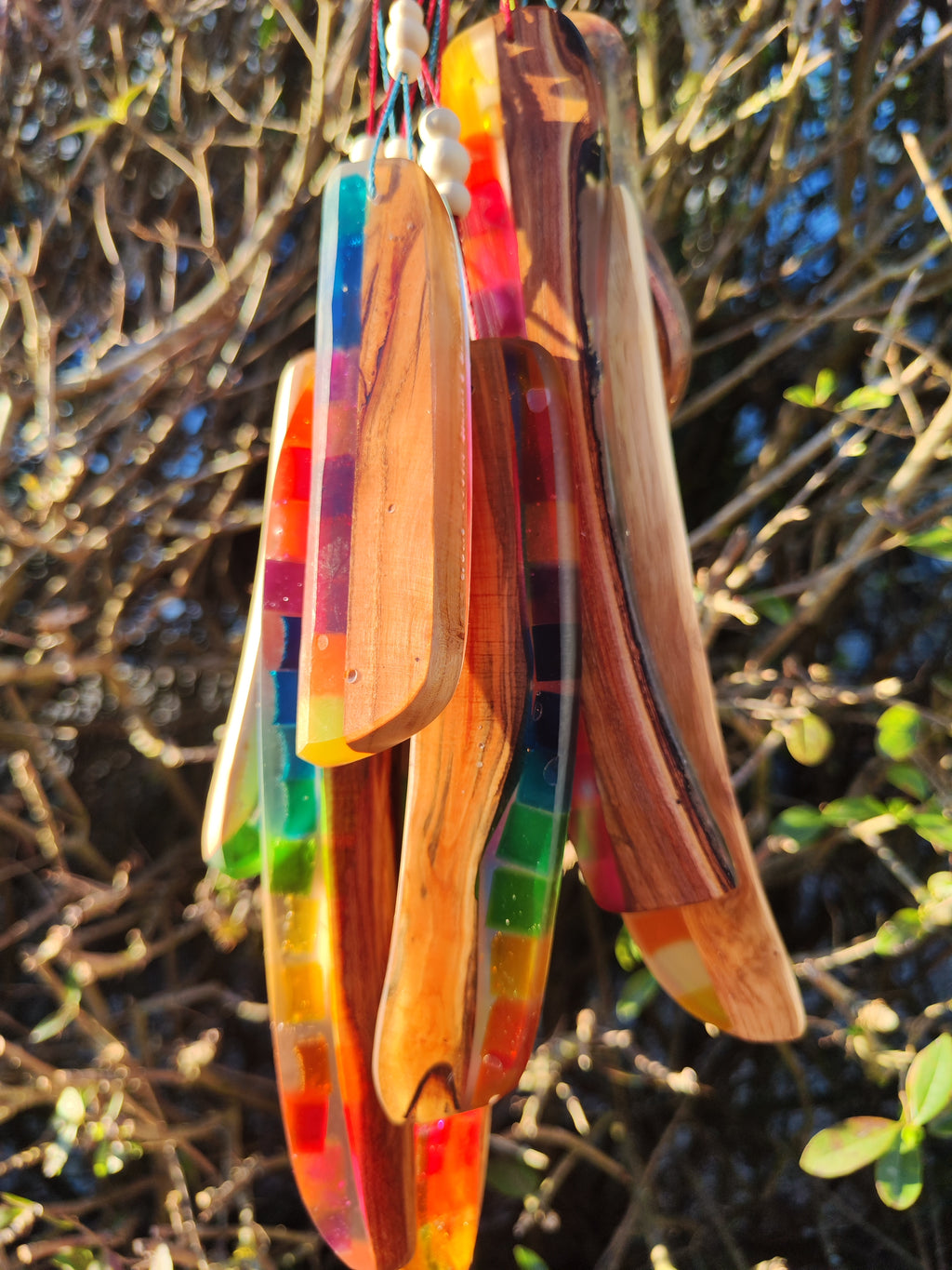 Regenbogenhölzer